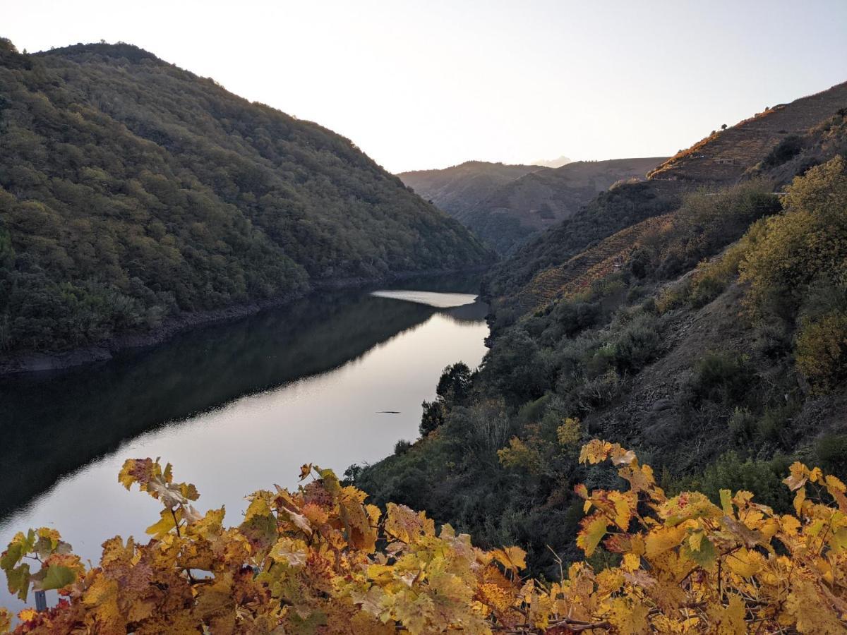 Villa La Casita De La Ribeira Sacra Monforte De Lemos Exterior foto
